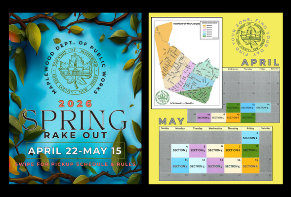 spring rakeout