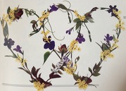 pressed flowers