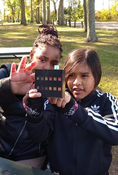 greenwood elementary