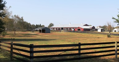Mercer Stables