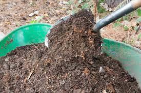 Compost 