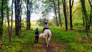 Trail Riding -- Mercer County Stables