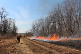Prescribed burn