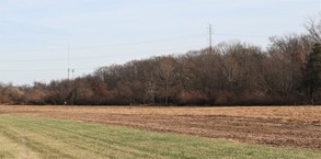 MCP pollinator meadow in progress