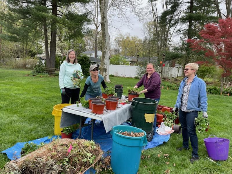 Spring Plant Expo, Garden Market set for May 14