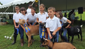4-H kids with goats and ribbons