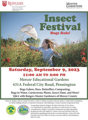 Insect Festival flyer