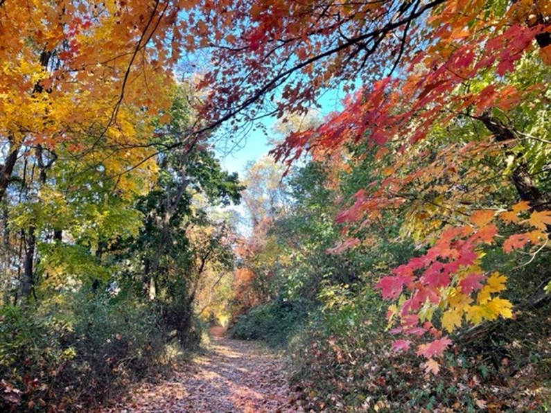 Pretty Trail