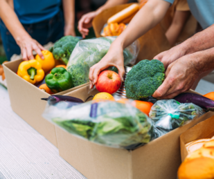People Holding Vegetables