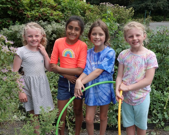 Painted Turtles TNC Nature Camp