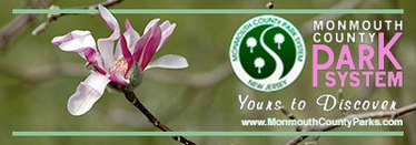 Spring Header email blast 2016