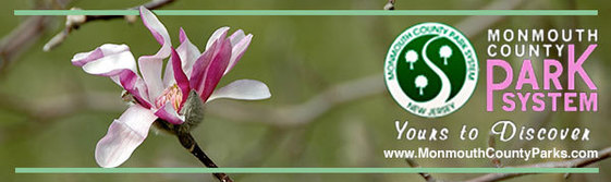 Park System Spring Header Resized