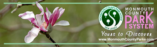 Park System Spring Header Resized