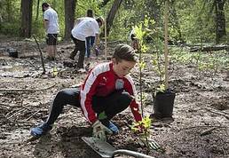 Sustainable Jersey: volunteer planting tree