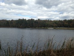 Echo Lake- Linda Brennen