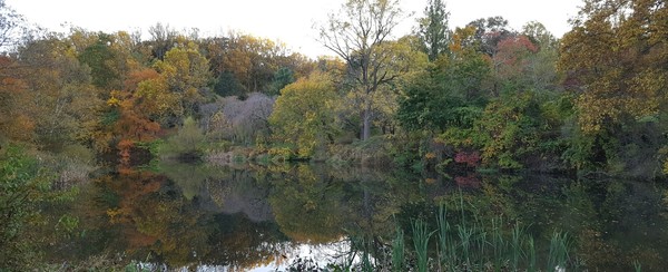Holmdel Park Oct 2019 AM
