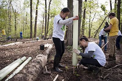 RTEmagicC_Two_Volunteers_Placing_Tube_Around_Trees_