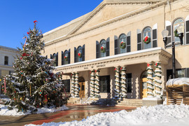 Hall of Records Tree
