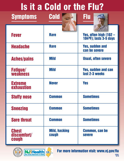 Flu versus the Common Cold Chart