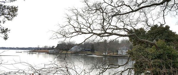 Hartshorne Woods Claypit Creek