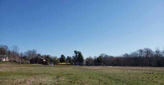 Peplowski Farm Amy Mandelbaum