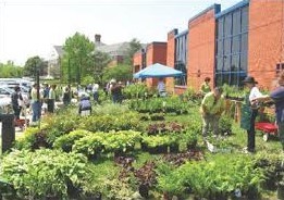 Master Gardener Plant Sale