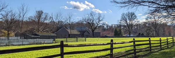 Long Street Farm
