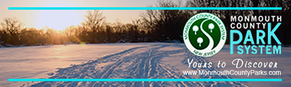 Park System Winter Banner