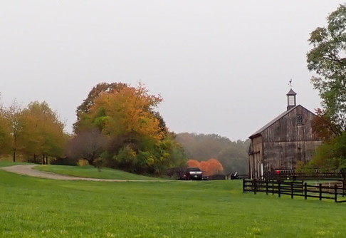 Feiler farm pictured with green fields leading up to an old wooden barn.