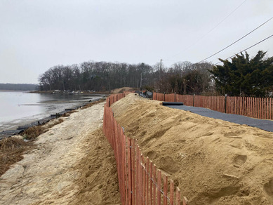 American Littoral Society Dunes During construction