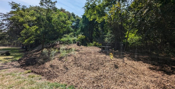 Planted Carbon Sink Garden Jackson Woods Park