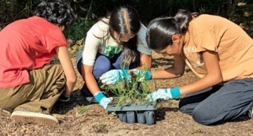 Shivali Sethi and Carbon Roots volunteers