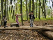 Home School Programs