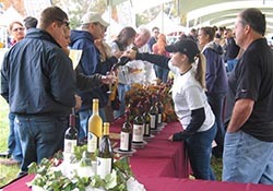grand harvest wine festival