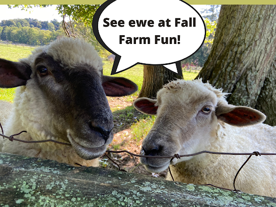 fall farm fun