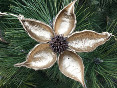 Making Ornaments from Nature