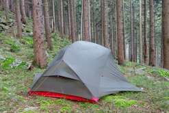 kids in the wild camping