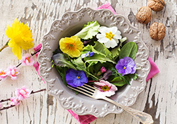 Edible flowers