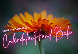 Calendula hand balms