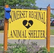 Animal Shelter