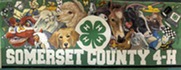 SCNJ4H