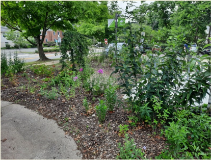 EPC garden 2