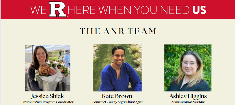 anr team