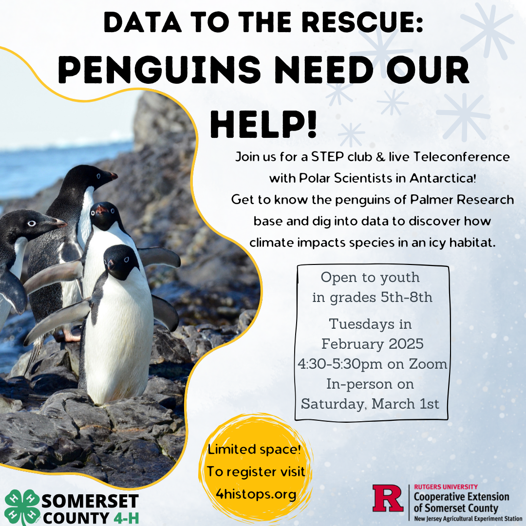 penguin