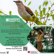 birding