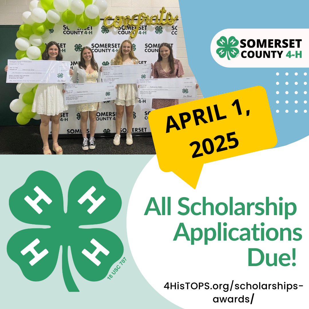 scholarship