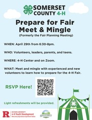 Meet Mingle