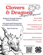 Clovers Dragons
