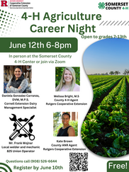 career night