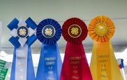 ribbon